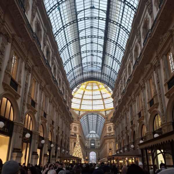 Galerie épatante mais presque..