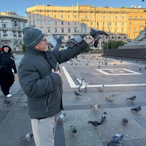 Les pigeons m'aiment bien..